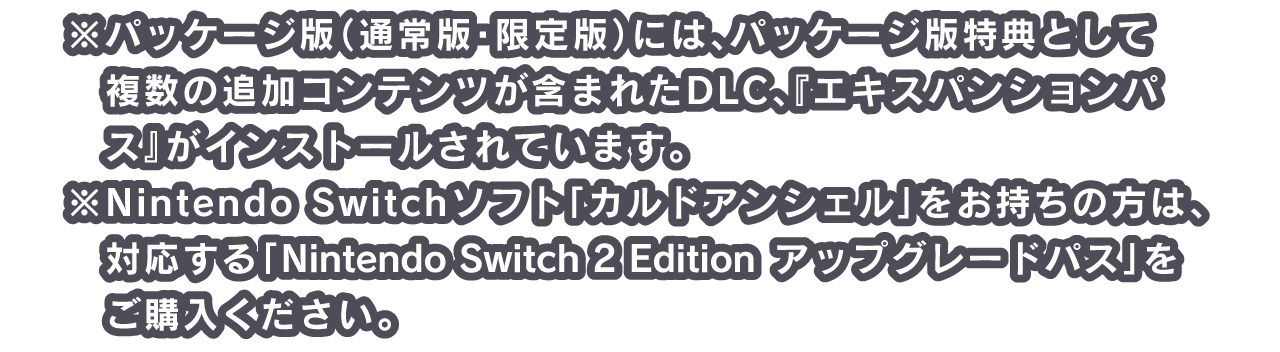 パッケージ版（通常版・限定版）には、パッケージ版特典として複数の追加コンテンツが含まれたDLC、『エキスパンションパス』がインストールされています。